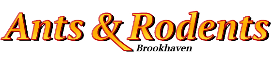 Brookhaven Ant Exterminator & Rodent Control Company Logo